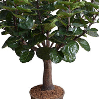 Trunk of 5 ft fake tree