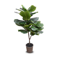 Small realistic fake fiddle leaf fig tree
