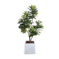 Realistic fiddle leaf fig faux plant