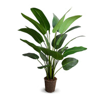 5 foot, high-quality fake Traveller's palm tree