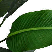 Leaf of faux palm tree