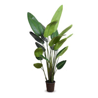 Large faux Traveller's palm tree