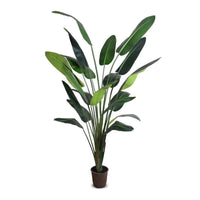 high quality fake travellers palm tree