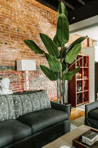 Faux Palm Tree, Traveller's - 10 Foot