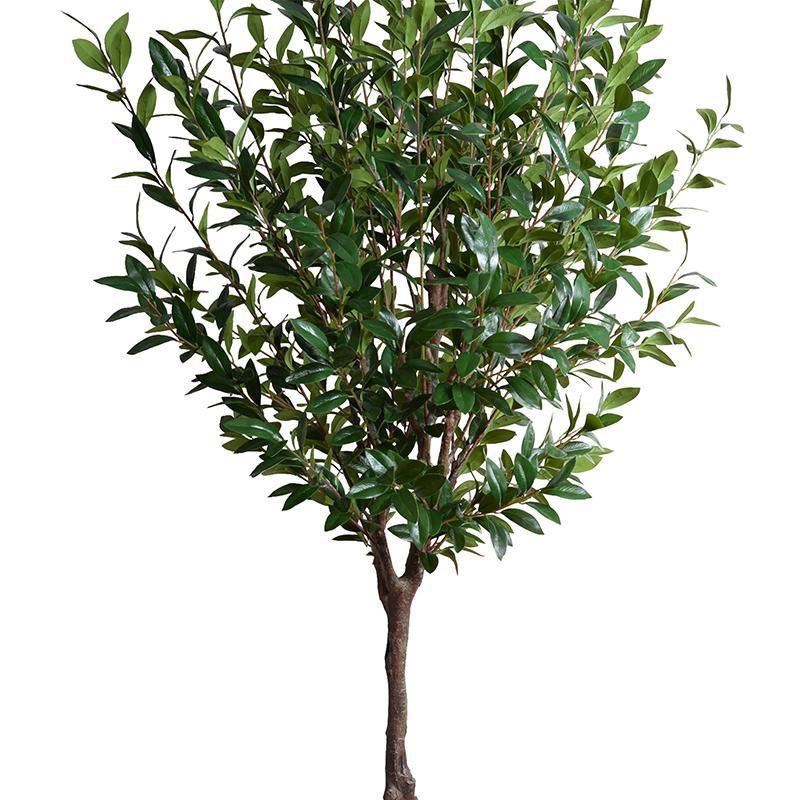 Faux Camellia Tree - 8 Foot