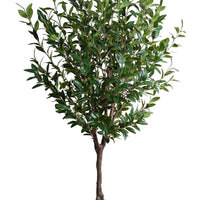 Faux Camellia Tree - 8 Foot