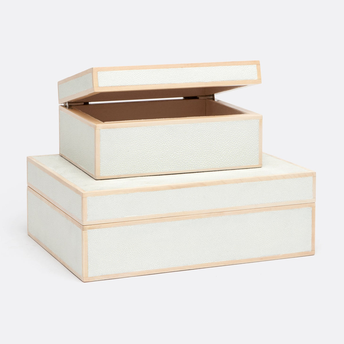 Cooper Decorative Boxes - Set of 2 Snow Realistic Faux Shagreen