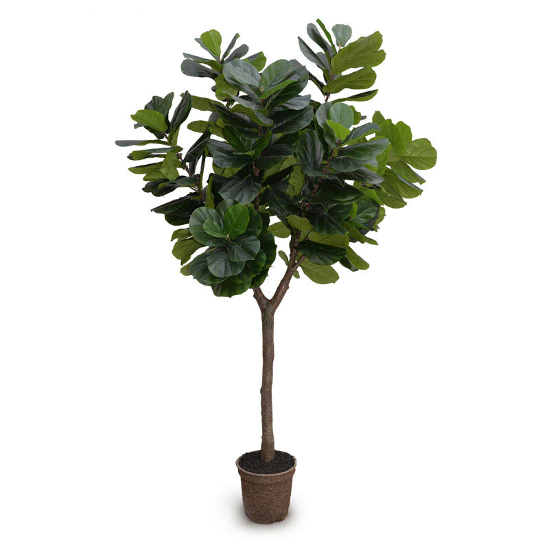 Large realistic faux fiddle leaf fig tree