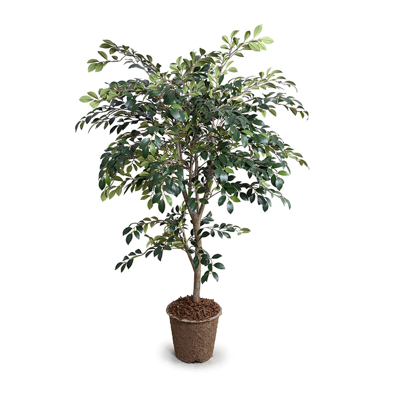 High-quality fake Ruscus tree