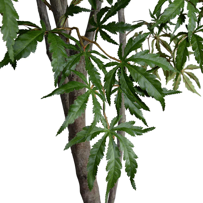 Faux Japanese Maple Tree with Natural Trunk - 6.5 Foot