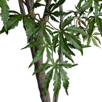 Faux Japanese Maple Tree with Natural Trunk - 6.5 Foot