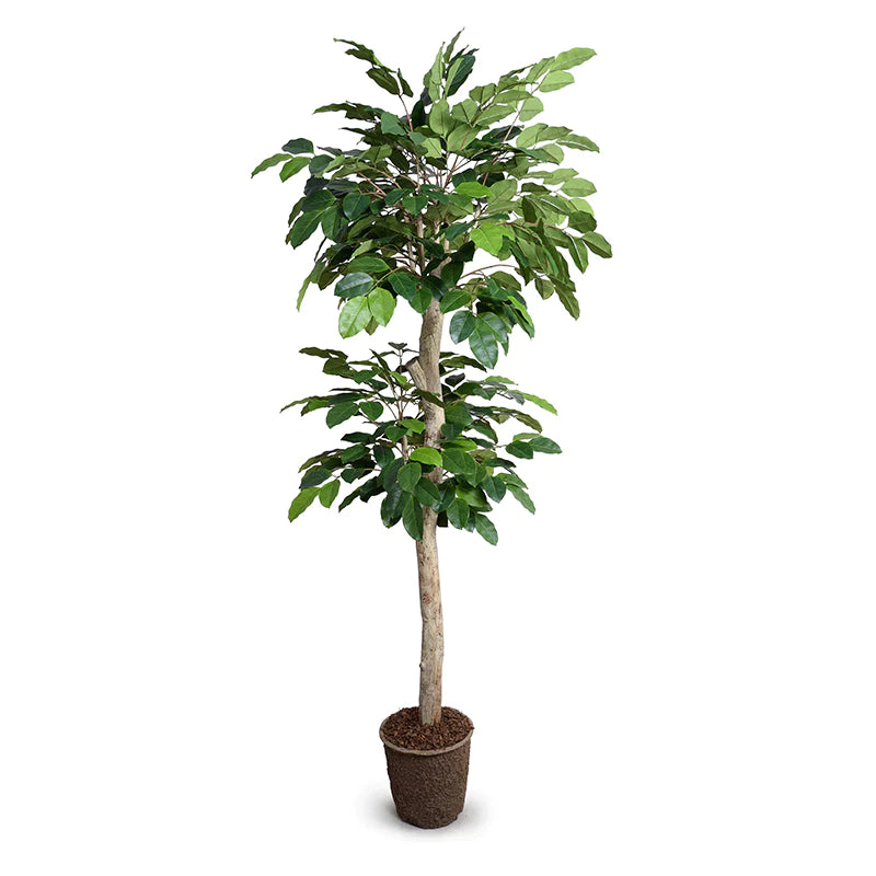 8 Foot high-quality fake banyan tree