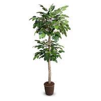 8 Foot high-quality fake banyan tree