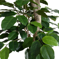 Leaves and natural trunk of Faux Banyan Tree