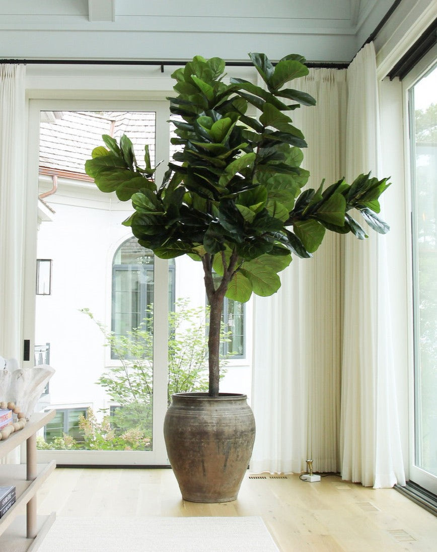 Large fake fiddle leaf fig tree