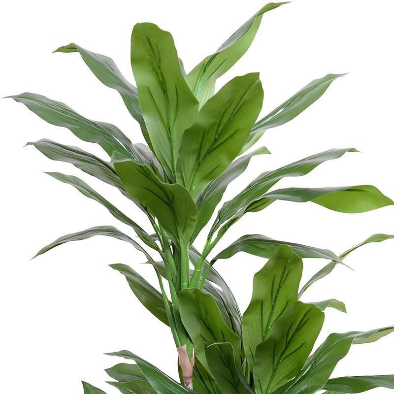 faux dracaena marginata Faux Green Dracaena Plant in Round Pot