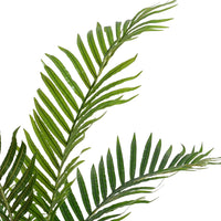 Faux Kentia Palm Tree - 4 Foot