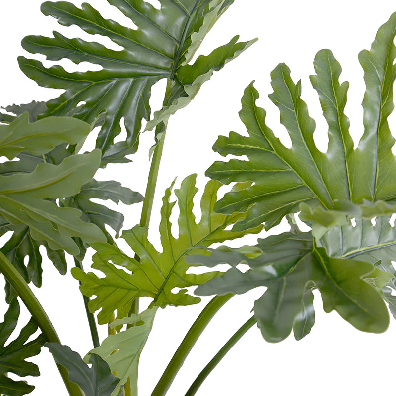 Leaves of artificial philodendron selloum plant