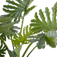 Leaves of artificial philodendron selloum plant
