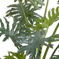 Leaves of faux philodendron selloum tree