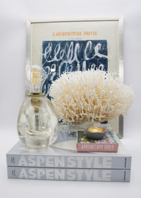 Aspen Style illustrated home accent book