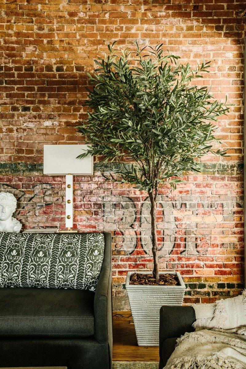 Fake olive tree in living room