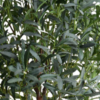 Leaves of fake olive tree