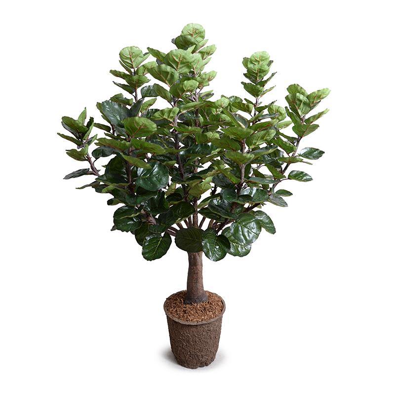high-quality, realistic fake Aralia Balfouriana tree