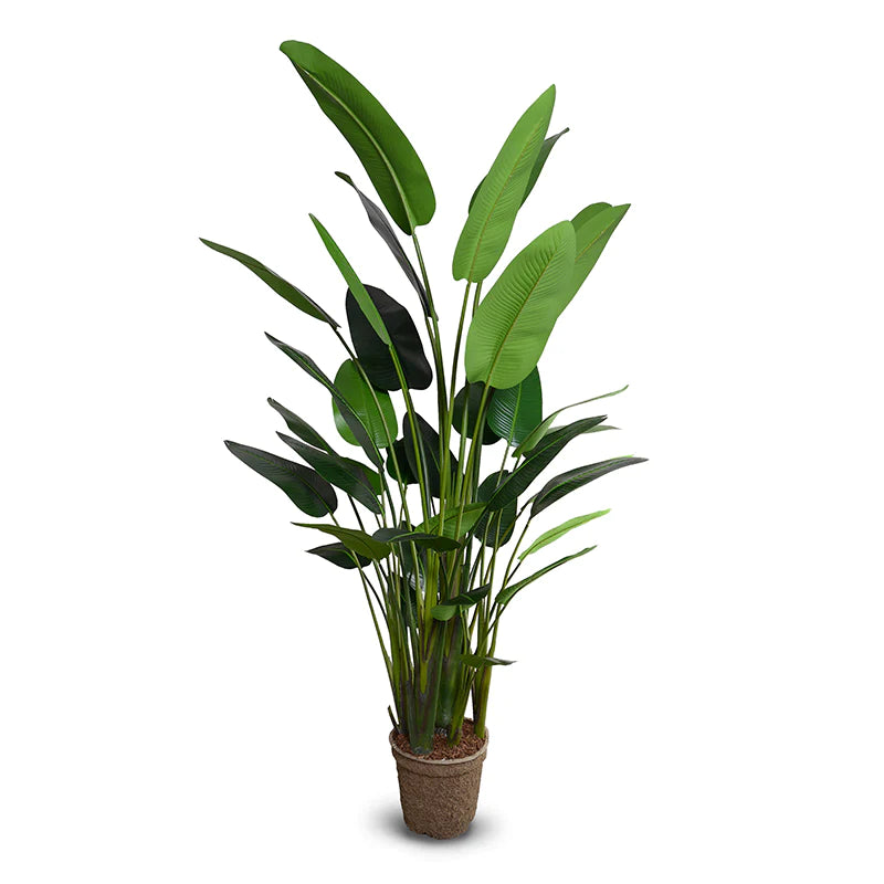 high quality fake large travellers palm tree
