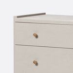 Carrigan Dresser - French Gray Vintage Faux Shagreen 48 Inch
