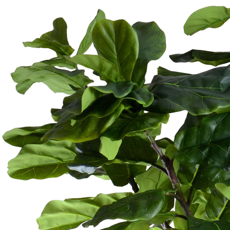 Leaf detail of realistic fake fiddle leaf fig tree