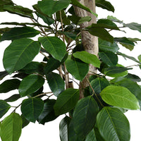 Faux Banyan Tree with Natural Trunk - 9 Foot