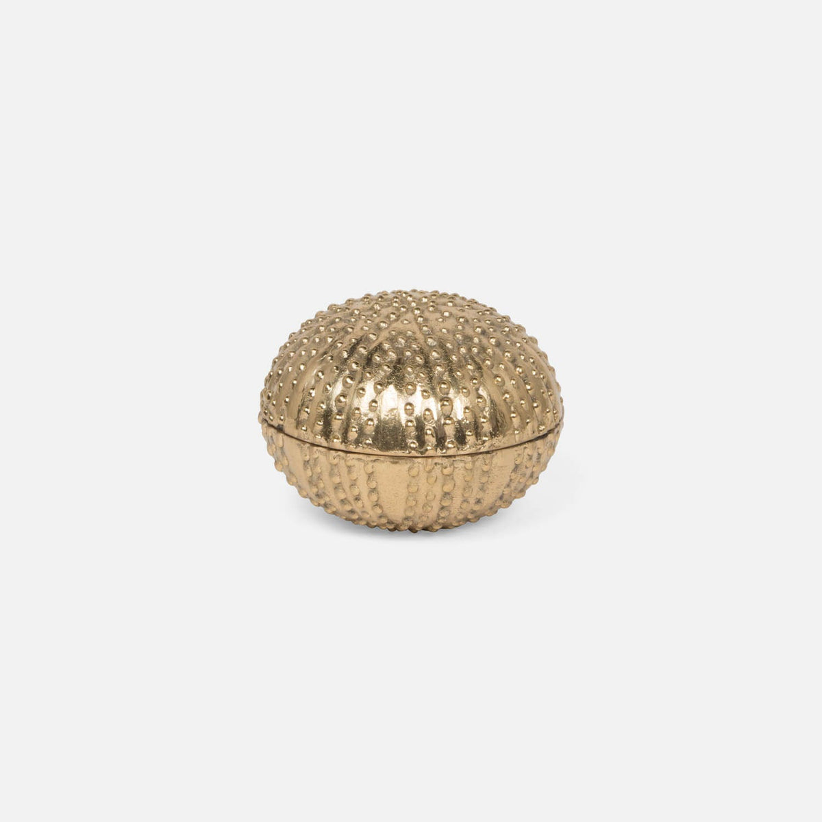 Obelia Dome Shaped Decorative Box - Gold Brass 5x4