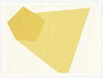Mid Colour Lemon by Gayle Harismowich - 25 x 19