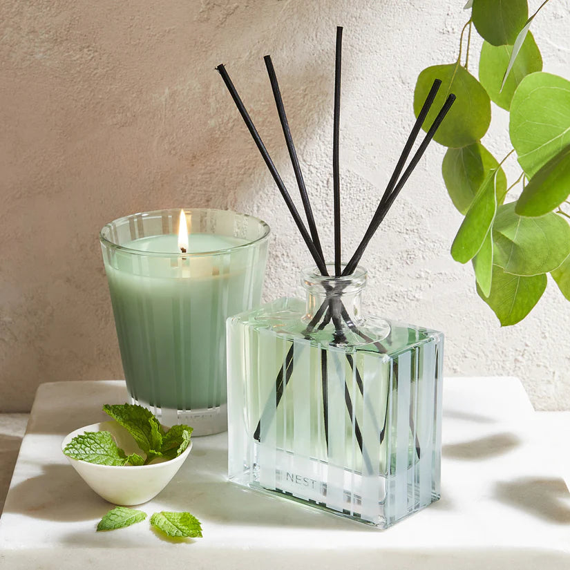 Wild Mint and Eucalyptus Classic Candle